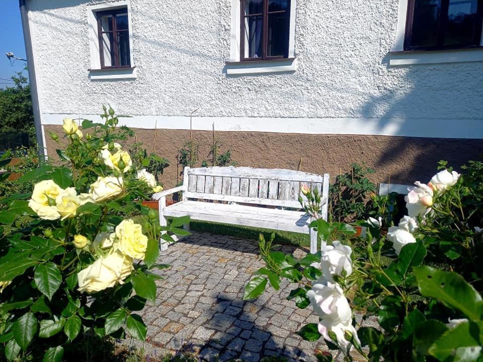 Penzion Pod Sudem Lazne Libverda Exterior photo