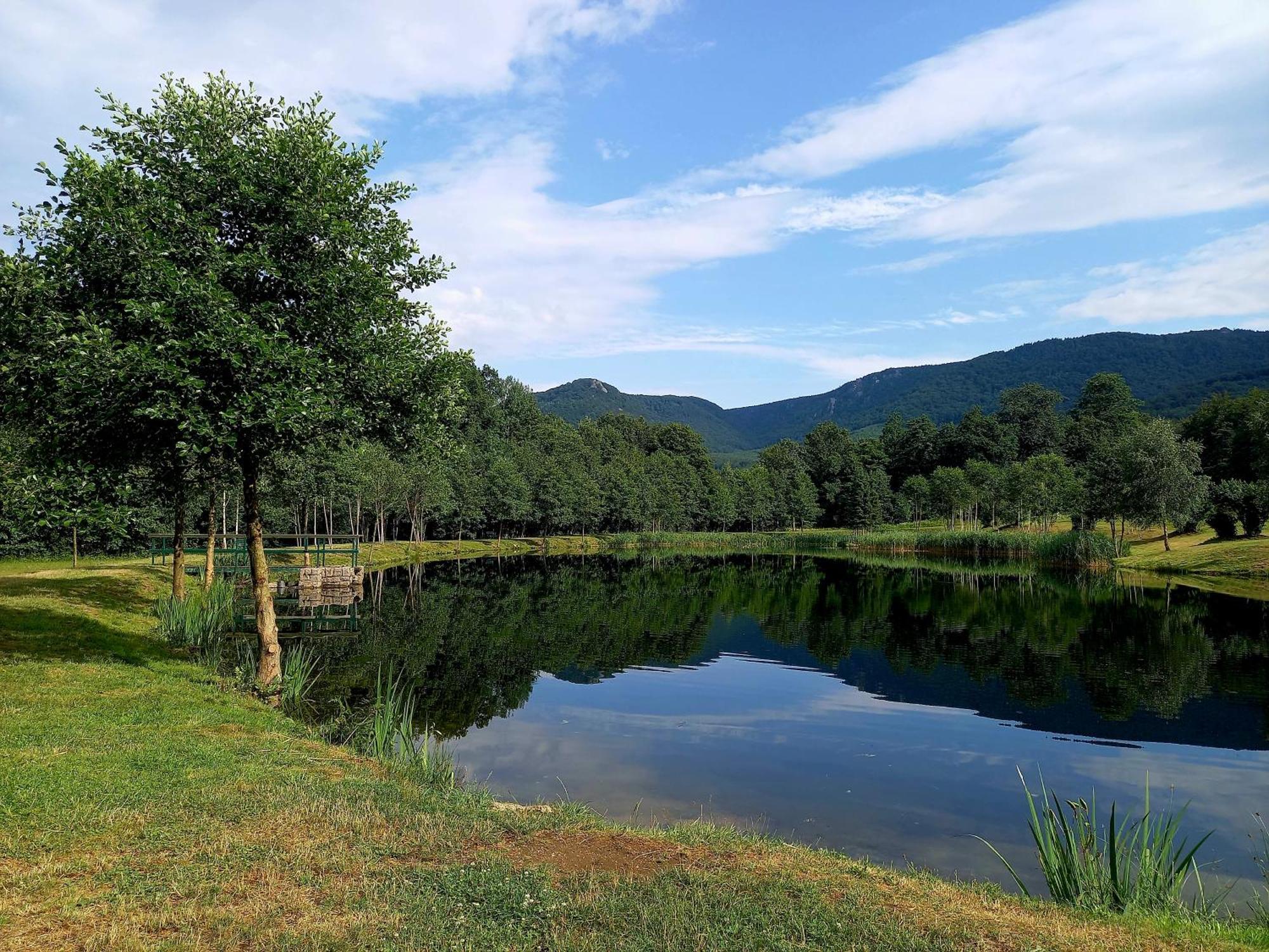 Penzion Pod Sudem Lazne Libverda Exterior photo